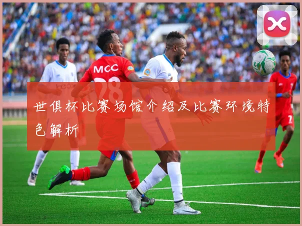 世俱杯比赛场馆介绍及比赛环境特色解析