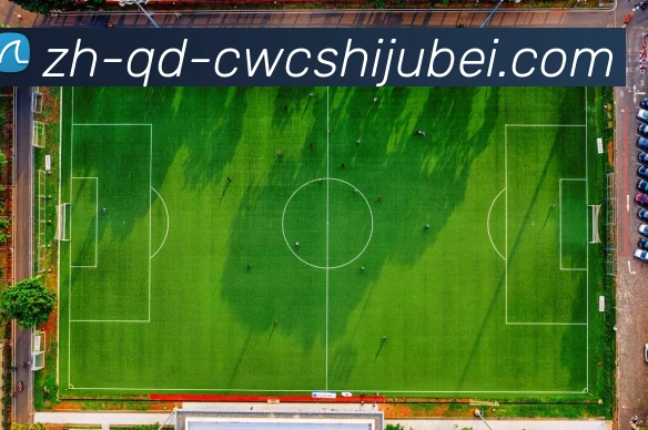 世界杯买球服务体系