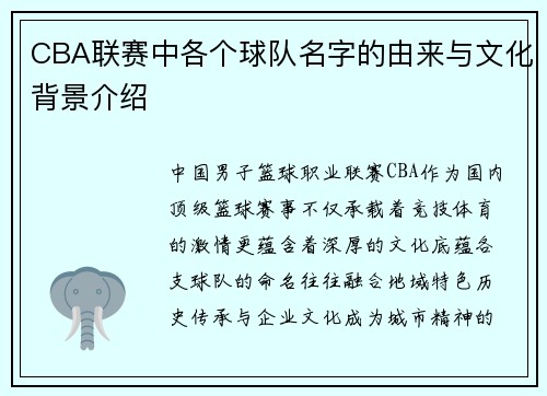 CBA联赛中各个球队名字的由来与文化背景介绍